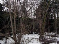 027 Meghatározandó